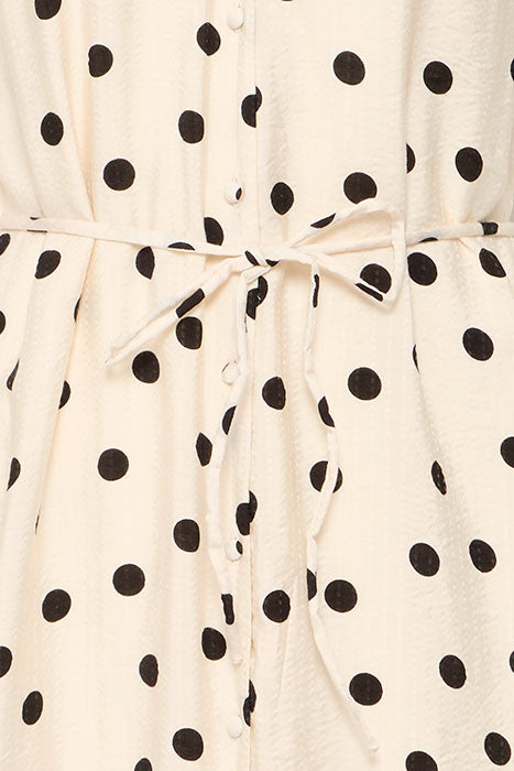 Tabita Short Sleeve Midi Dress (Birch Dot)