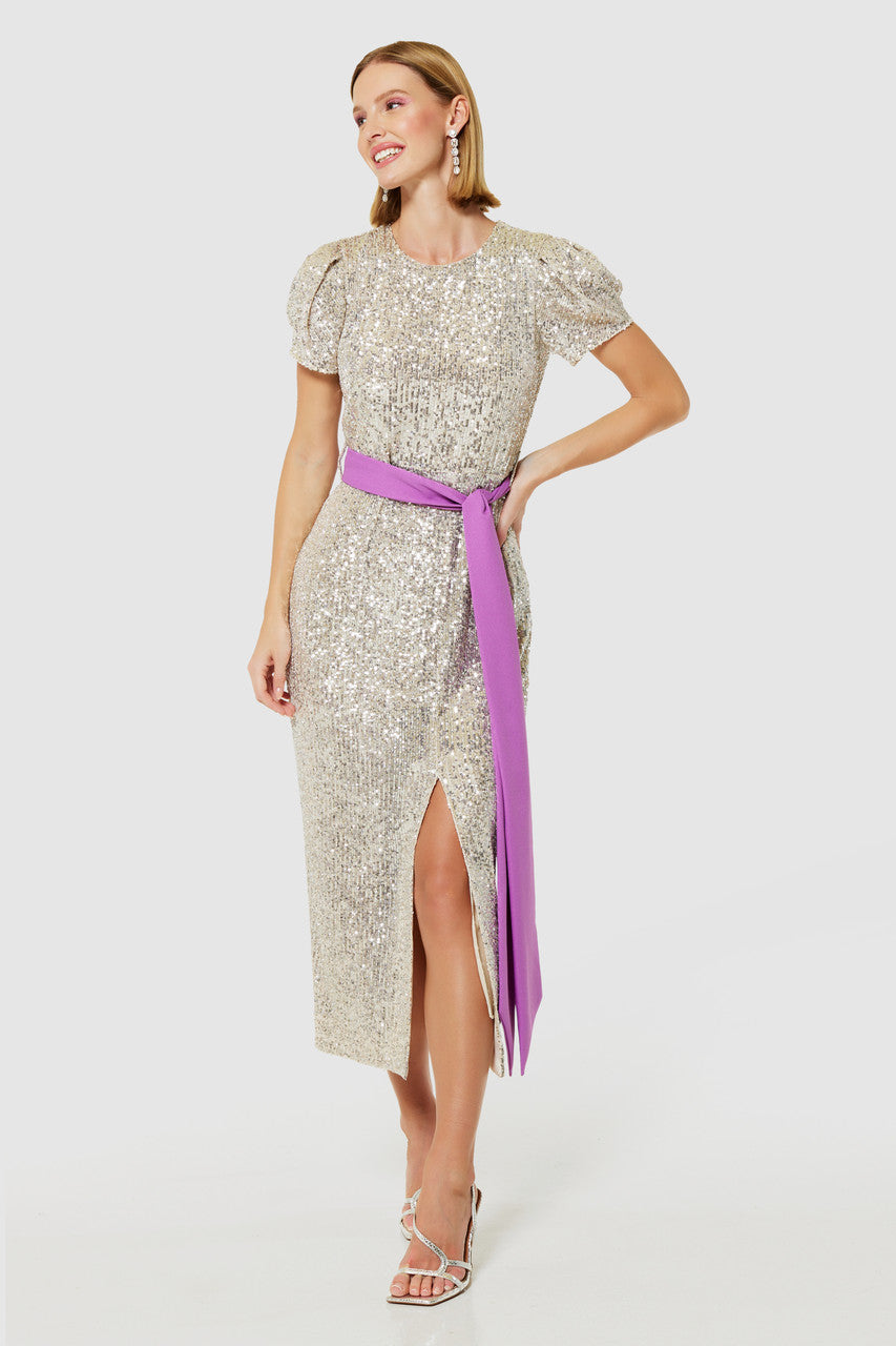Sandie Silver Sequin Pencil Dress
