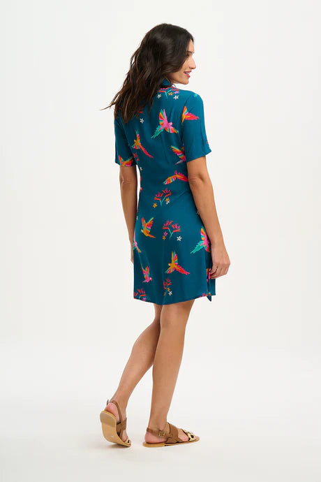 Dessie Shirt Dress (Teal Rainbow Parrots)