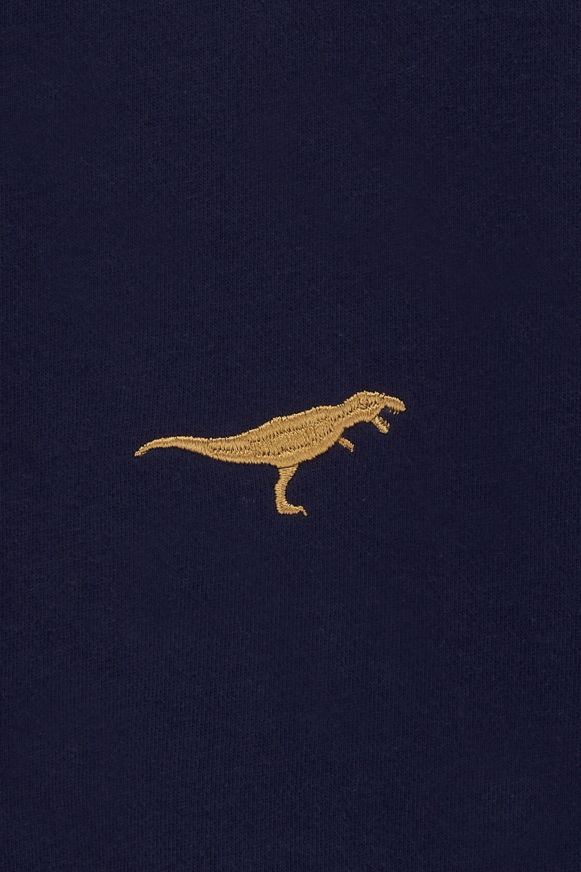 Noah Sweatshirt - Navy, Dinosaur Embroidery