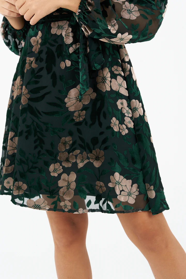Jim Velvet Dress (Green)
