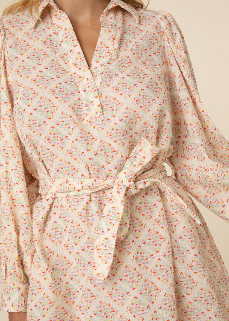 Romanne Dress (Multi)