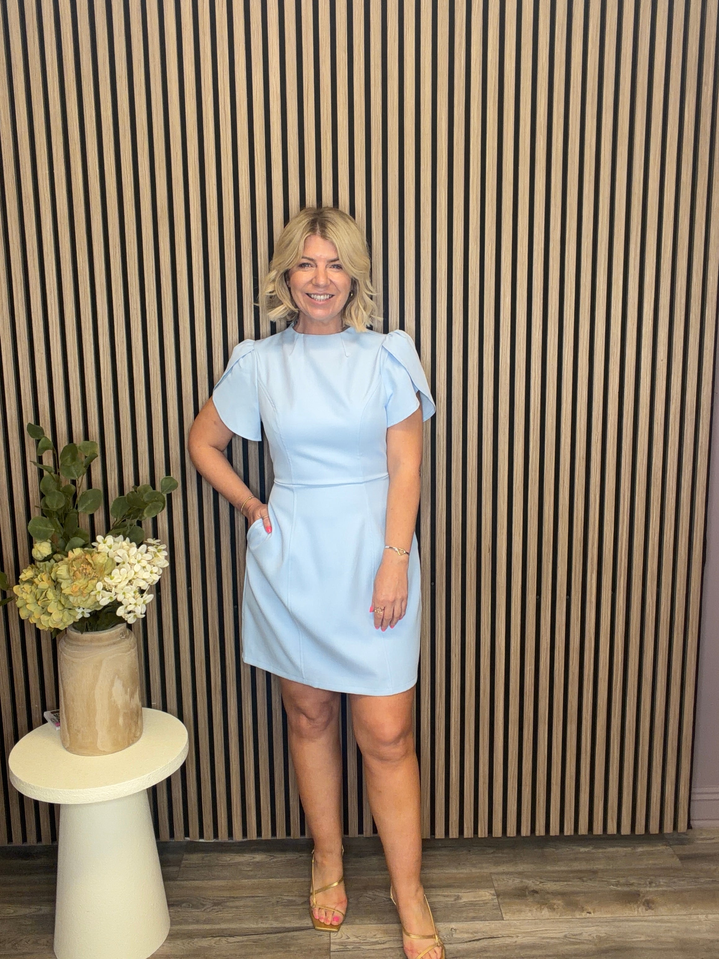 Ami Tulip Sleeve High Neck Dress (Blue)