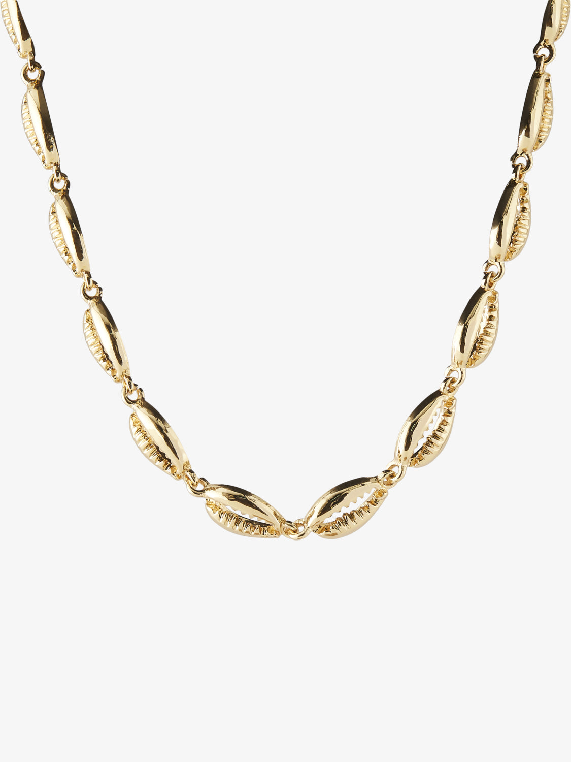 Gold Shell Necklace 